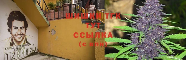 прущие крисы Алексеевка